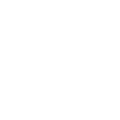 law offices of steven ibarra